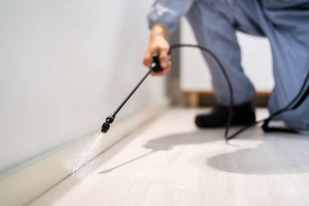 Licensed Termite Control service in Eclectic, AL - Nex Pest Control