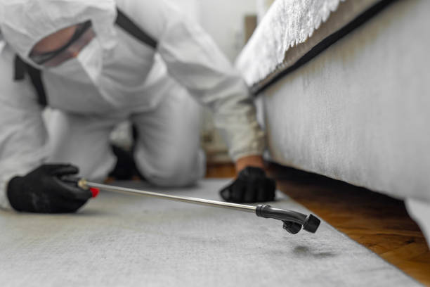 Professional Termite Control technician working in Eclectic, AL