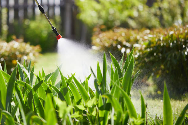 24/7 Emergency Termite Control experts in Eclectic, AL