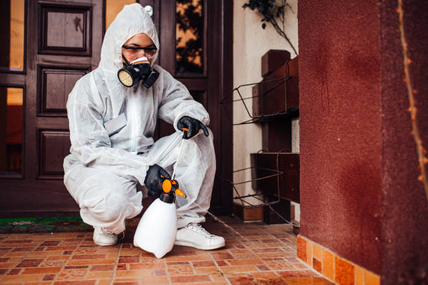 Reliable Termite Control contractor in Eclectic, AL by Nex Pest Control